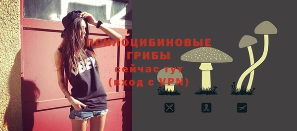 ECSTASY Абдулино