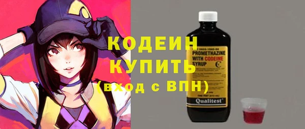 шишки Абаза