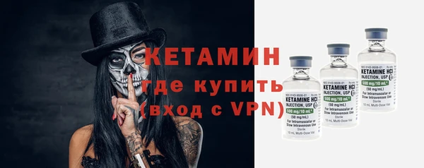 шишки Абаза
