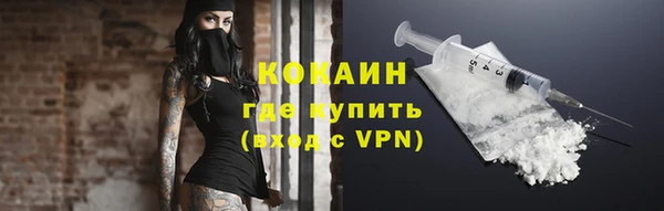 шишки Абаза