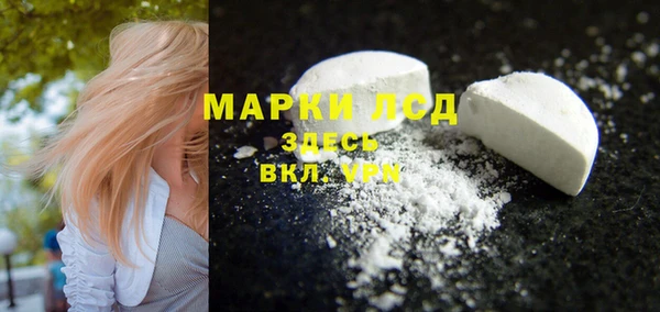 шишки Абаза