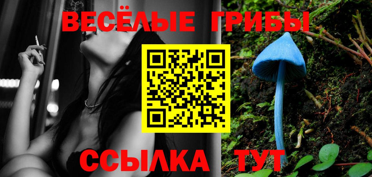 Урюпинск  Псилоцибиновые грибы ЛСД  Вход с VPN 