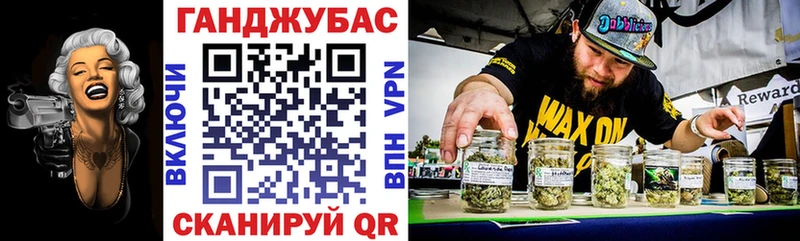 Шишки марихуана план даркнет сайт Урюпинск
